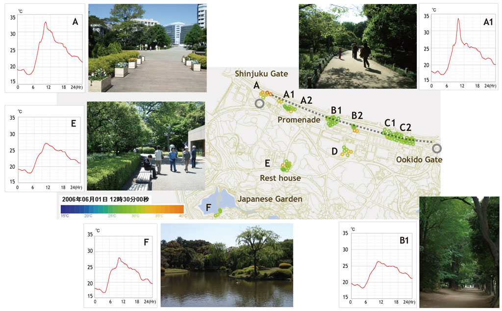 Change of Temprature of Different point of Shinjuku gyoen