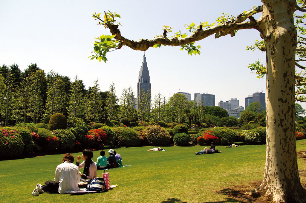 Shinjuku Gyoen National Garden